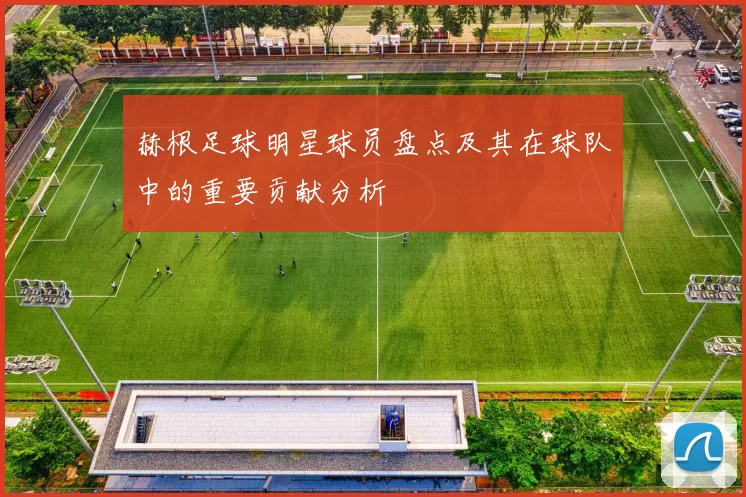 赫根足球明星球员盘点及其在球队中的重要贡献分析