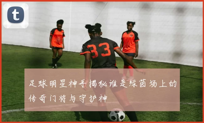 足球明星神手揭秘谁是绿茵场上的传奇门将与守护神