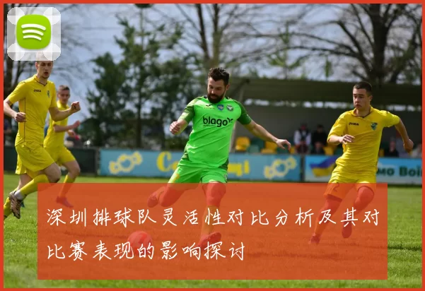 深圳排球队灵活性对比分析及其对比赛表现的影响探讨