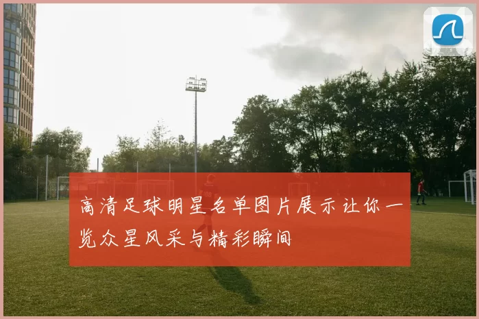 高清足球明星名单图片展示让你一览众星风采与精彩瞬间
