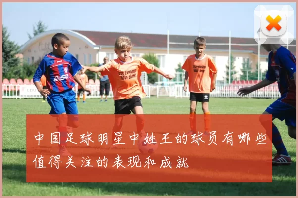 中国足球明星中姓王的球员有哪些值得关注的表现和成就
