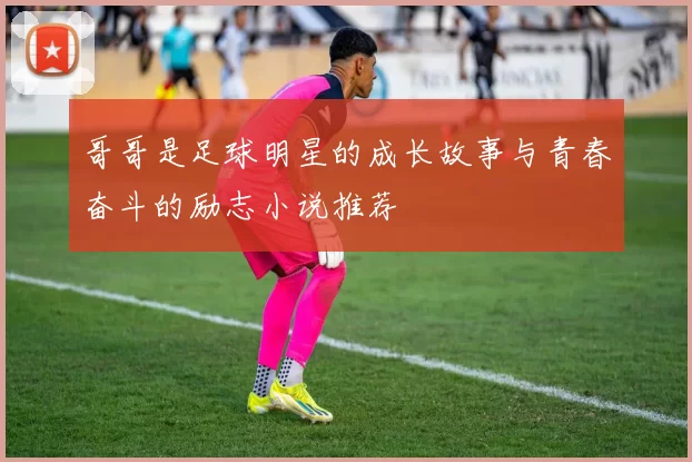 哥哥是足球明星的成长故事与青春奋斗的励志小说推荐