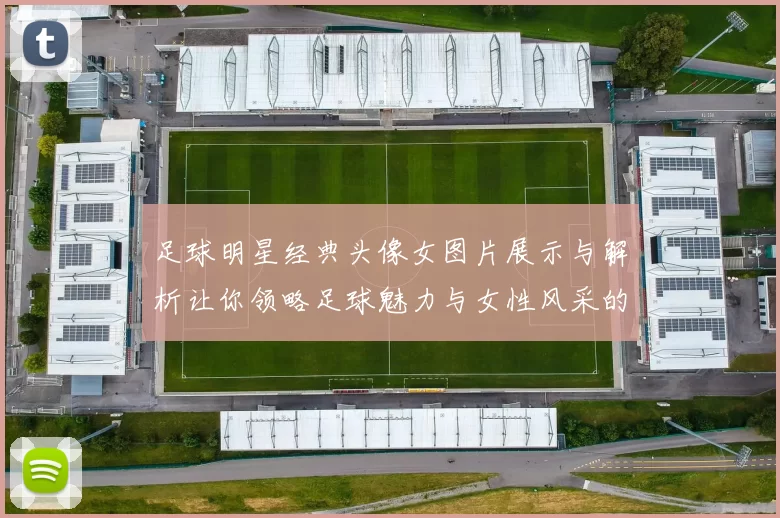 足球明星经典头像女图片展示与解析让你领略足球魅力与女性风采的完美结合