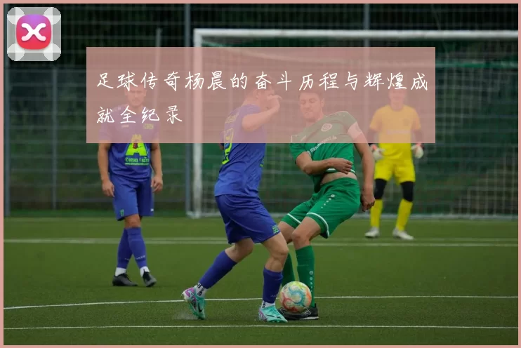 足球传奇杨晨的奋斗历程与辉煌成就全纪录