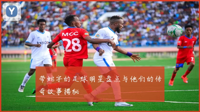 带蛇字的足球明星盘点与他们的传奇故事揭秘