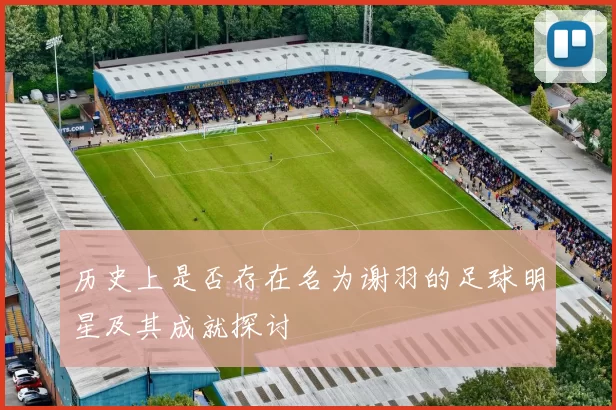 历史上是否存在名为谢羽的足球明星及其成就探讨