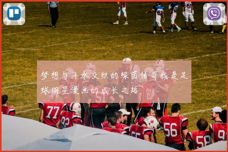梦想与汗水交织的绿茵传奇我是足球明星漫画的成长之路