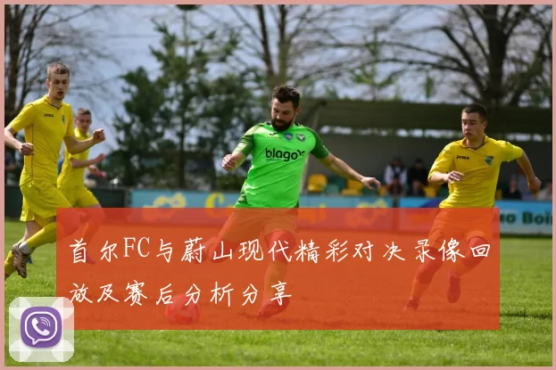 首尔FC与蔚山现代精彩对决录像回放及赛后分析分享
