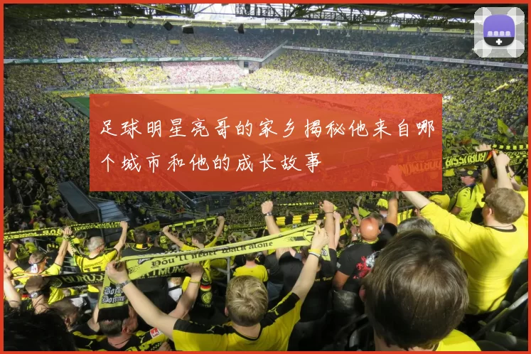足球明星亮哥的家乡揭秘他来自哪个城市和他的成长故事
