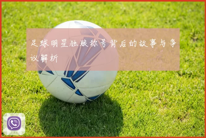 足球明星独狼称号背后的故事与争议解析