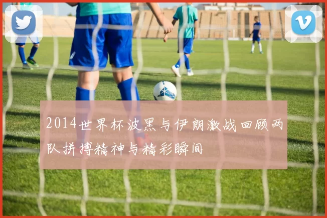 2014世界杯波黑与伊朗激战回顾两队拼搏精神与精彩瞬间