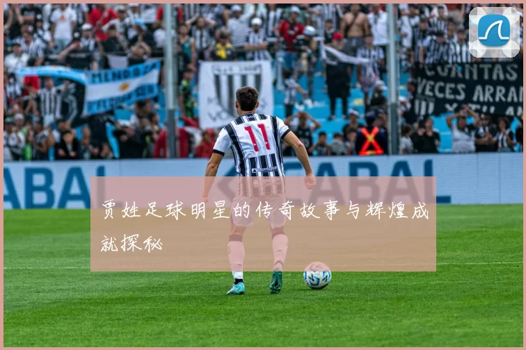 贾姓足球明星的传奇故事与辉煌成就探秘