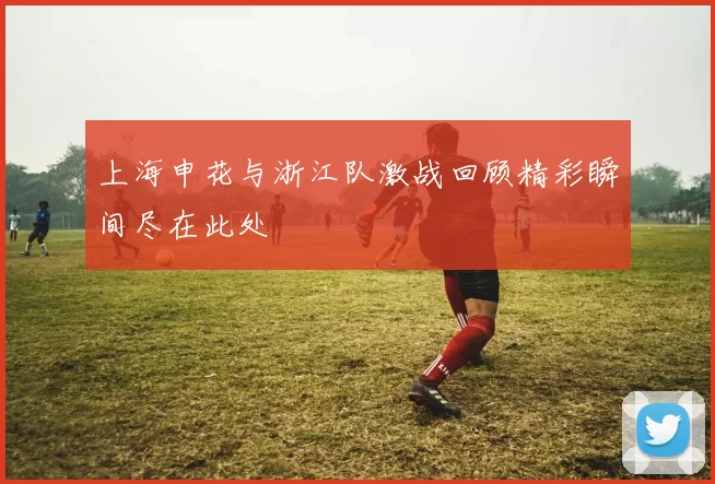 上海申花与浙江队激战回顾精彩瞬间尽在此处