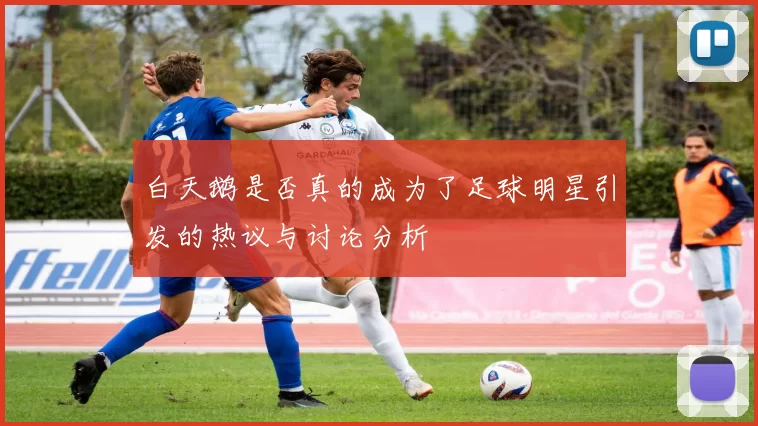 白天鹅是否真的成为了足球明星引发的热议与讨论分析
