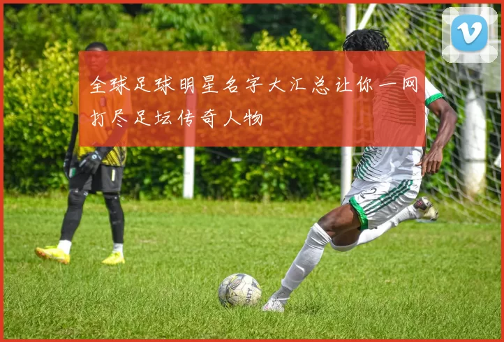 全球足球明星名字大汇总让你一网打尽足坛传奇人物